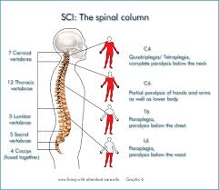 Living With Attendant Care Spinal Cord Injury