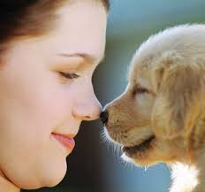 Therefore we dedicate ourselves to being your partner in providing the health care your pet. Angel Pet Hospital In Edmonds Wa Local Coupons July 2021