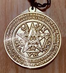 Image result for Triumfetta amuletum