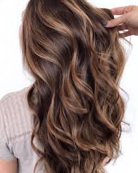 Cute blonde highlights on natural brown hair. 30 Best Honey Blonde Hair Colours For Women In 2020 All Things Hair