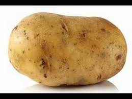 Congrats, this potato represents the potato song being stuck in your brain for the rest of eternity. A Potato Flew Around My Room Youtube