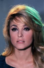Resultado de imagem para sharon tate