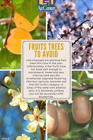 The urban heat island effect makes the city ideal for ripening apricots and figs. Careful Choices Matter When It Comes To Plants Planting Fruit Trees Fruit Trees Trees To Plant
