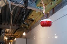 Start date dec 10, 2009. Closeup Installation And Repair Of Electric Cable Smoke Detector Fire Alarm System Before Installing Stretch Or Suspended Stock Photo Image Of Light Background 137109928