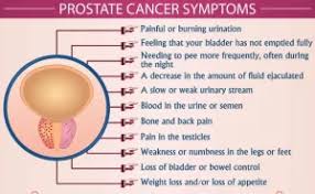 Image result for Prostate Cancer Staging