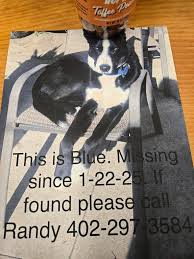 Can people please donate to the schools in your areas ( even gently used  please do ) hats, mittens or snow wear to you local schools. Lots of  children are going without