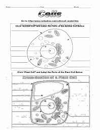 Maybe you would like to learn more about one of these? Animal Cell Plant Cell Worksheet Template Library