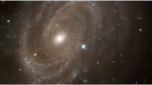 Ngc 1398 es una galaxia espiral barrada. Supernova 1994d In Galaxy Ngc 4526