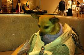 You can also choose from. Dog Friendly Shopping In Illinois Bringfido