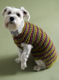 A roundup of seven free dog sweater patterns! Top 5 Free Dog Sweater Knitting Patterns Lovecrafts