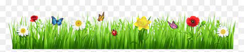 Flamingo bird with palm leaves, magnolia flowers and eucalyptus leaves, web banner. Spring Flowers Border Png Spring Flowers Clipart Transparent Background Png Download Vhv