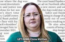 Free after just 18 months.. owner of XL Bully that killed my Jack