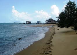 Setelah kalian udah bisa menggambar sketsa dengan pemandangan hutan mulai dari sketsa gunung, sketsa pantai, dan sketsa desa. Eksotisnya Pulau Mubut Destinasi Wisata Akhir Pekan Di Kota Batam