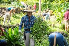 ʻOhana Volunteer Day