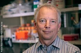 Childhood cancer survivor still inspires Fred Hutch researcher