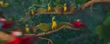 YARN | All the birds of a feather | Rio (2011) | Video clips by quotes |  5b8da861 | 紗