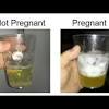 For pregnancy test using white toothpaste. Https Encrypted Tbn0 Gstatic Com Images Q Tbn And9gctylhq75wunjybhnnsb3mvx5jmvqzssa3fmaorhhx8gghtshp2p Usqp Cau