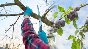 Porn granny photo ada likely provides the best head Ive