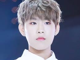 Bersama kang daniel, ia menjalani masa pelatihan di bawah naungan agensi mmo entertainment. Biodata Wanna One Profil Nama Asli Fakta Unik