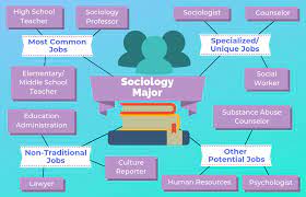 12 Jobs For Sociology Majors The University Network Sociology Major Sociology Sociology Degree Jobs