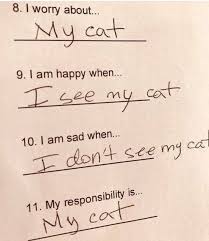 Funny, meme, sad, sarcasm, bad, cyberpunk 2077 is one of the main topics at the end of 2020, about which bemorepanda have already written a lot of materials and will write as much more. 30 Funny Cat Memes That Will Make You Laughing So Hard Lovely Animals World Zum Lachen Bringen Memes Humor Lustige Tiermemes