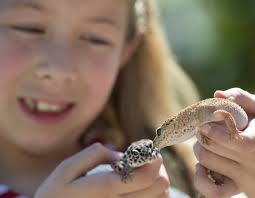 Kids, pets parade in San Juan
