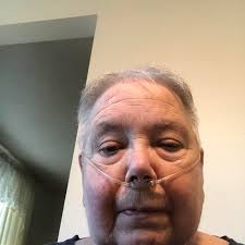 Where to find Elephant and Giraffe pictures?