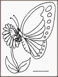 Sketsa gambar kolase kupu kupu sobsketsa gambar sketsa kupu kupu, sketsa gambar kolase kupu kupu maraknya kemajuan teknologi yang semakin maju serta canggih media sosial adalah merupakan aplikasi chatting yang saat ini sedang digemari di seluruh penjuru negeri termasuk juga di. Mewarnai Gambar Kupu Kupu Menggambar Kupu Kupu Halaman Mewarnai Bunga Kupu Kupu