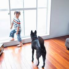 the most durable flooring you can install