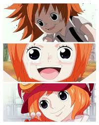 She Broke My Heart Koala One Piece One Piece Meme One Piece Anime