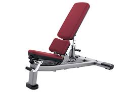 4.4 out of 5 stars. Adjustable Incline Benches
