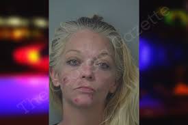 Annie Ward — Gwinnett County Jail Bookings