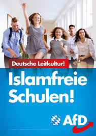 Doch das folgende wahlplakat, auf dem die afd offensichtlich auf einen hipster zurückgreift, ist. Afd Die Partei Mit Den Auslandischen Models Ubermedien