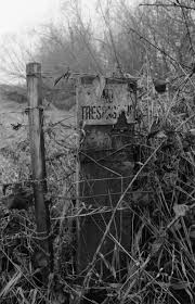 Black And White Nature Painting Black And White Photography Wall Decor Nature Fine Art Foggy Landscape Winter Landscape Wa With Images Washington Nature Black And White Photography Winter Landscape