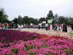 Image result for model town