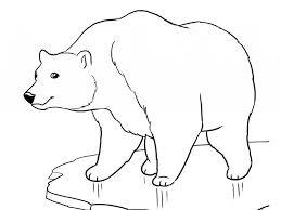 By best coloring pages august 13th 2013. Coloring Pages Christmas Polar Bear Coloring Pages