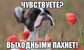 Антикафе МЕСТО - Сегодня пятница, а значит выходные совсем близко!😁  Вечером всех ждём в Антикафе&amp;quot;Место&amp;quot;!!! Всем хорошего и приятного дня! |  Facebook