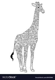 64 zoo lane online colouring pages. Giraffe Picture Book