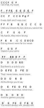 Flute Sheet Music: Set Fire To The Rain