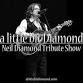A Little Bit Diamond
