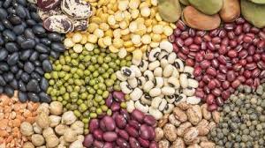 Resultado de imagem para pulse foods