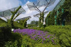 The library garden has two parts. University Gardens University Of Warsaw