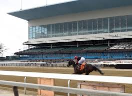 As many as 16 horses have been injured and euthanized at the new york racetrack since the new york governor demands investigation into mystery of 16 aqueduct racetrack horse deaths. New York State Covid 19 Vaccination Site Opens At Aqueduct