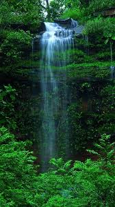 Wensleydale, yorkshire dales national park, north yorkshire, green, grass, summer, 5k. 26 Iphone Wallpaper Nature Green Ryan Wallpaper