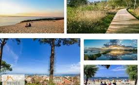 Achat Immobilier La Teste De Buch 33260 Bien Ici