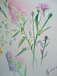 In this article, we'll show you how to draw this field of flowers landscape. Field Flowers Drawing By Maria Medvedeva Saatchi Art