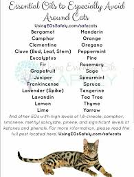 Always Do Research When Using Any Essential Oils Around Pets Are Essential Oils Safe Essential Oils Dogs Essential Oils Cats