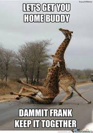 Apr 09, 2020 · to this day, friday remains a favorite day and a popular one in pop culture. Best Funny Quotes 20 Inappropriate Humor Quotes Quotes Daily Leading Quotes Magazine Database We Provide You With Top Quotes From Around The World
