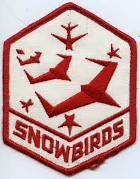 Check spelling or type a new query. Snowbirds Crest Patches Military Patch Cup Logo