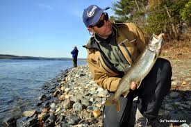Well Fed Lake Trout Wachusett Reservoir Fishing Report